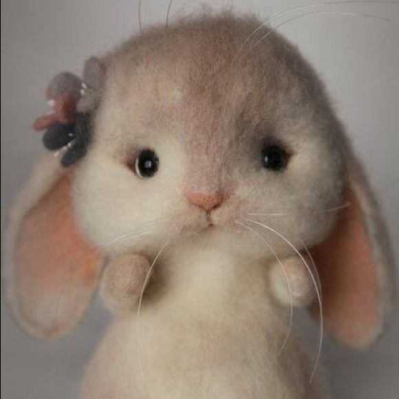 Meet the Posher, Annie - Picture 1 of 1